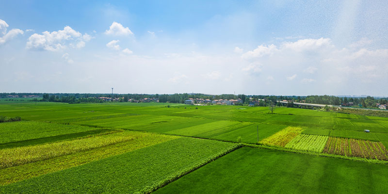 土壤養(yǎng)分檢測(cè)儀在農(nóng)業(yè)生產(chǎn)中的作用