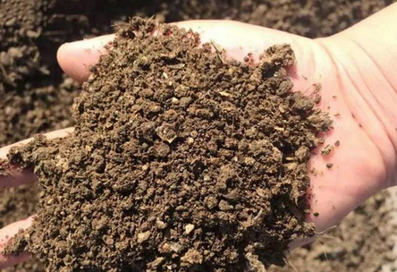 如何分析土壤團(tuán)粒結(jié)構(gòu)，土壤團(tuán)粒結(jié)構(gòu)分析方法